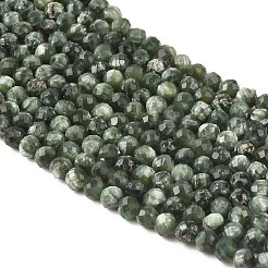 Natural Seraphinite Beads Strands&nbsp;G-K376-A02-2mm