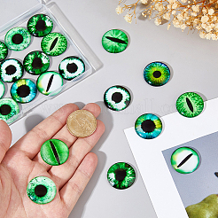 50Pcs Glass Cabochons&nbsp;GGLA-DC0001-05B