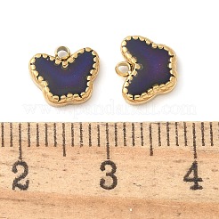 304 Stainless Steel Charms&nbsp;STAS-Q345-16G