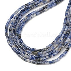 Natural Blue Spot Jasper Beads Strands&nbsp;G-P600-B05-01
