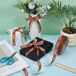 Polyester Ribbon&nbsp;OCOR-WH0109-336