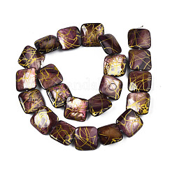 Natural Freshwater Shell Beads Strands&nbsp;SHEL-N026-173