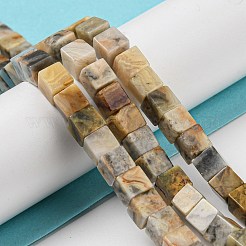 Natural Crazy Lace Agate Beads Strands&nbsp;G-Q1008-B11
