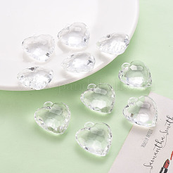 Transparent Acrylic Pendants&nbsp;TACR-T024-03B-205