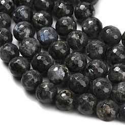 Natural Larvikite Beads Strands&nbsp;G-C280-B06-12mm