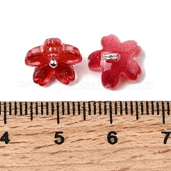 Glass Charms&nbsp;GLAA-G127-05C