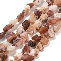 Raw Rough Natural Fire Opal Beads Strands&nbsp;G-C253-02