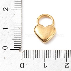 304 Stainless Steel Charms&nbsp;STAS-I334-17G