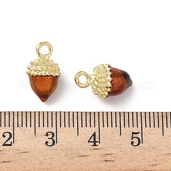 Alloy Enamel Charms&nbsp;FIND-C074-02A