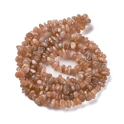 Natural Multi-Moonstone Chip Beads Strands&nbsp;X-G-M205-19A