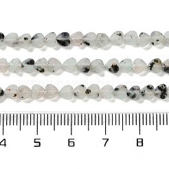 Natural Sesame Jasper Beads Strands&nbsp;G-M403-A40-01