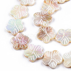 Electroplated Natural Freshwater Shell Beads Strands&nbsp;SHEL-N026-203A-01