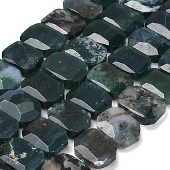 Natural Moss Agate Beads Strands&nbsp;G-C285-A13-01
