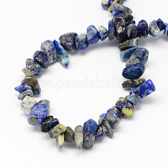 Natural Lapis Lazuli Stone Bead Strands&nbsp;G-R192-13