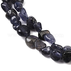 Natural Iolite/Cordierite/Dichroite Beads Strands&nbsp;G-A284-A02-01