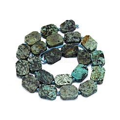Natural African Turquoise(Jasper) Beads Strands&nbsp;G-F725-01