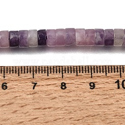 Natural Lepidolite/Purple Mica Beads Strands&nbsp;GG-CBA8682-B08