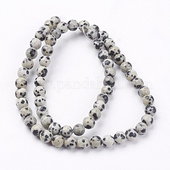 Natural Dalmatian Jasper Stone Bead Strands&nbsp;G-R193-14-6mm