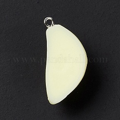 Opaque Resin Pendants&nbsp;RESI-M028-01