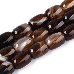 Dyed Natural Banded Agate Beads Strands&nbsp;G-T144-44B