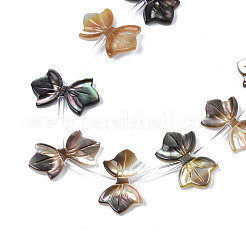 Natural Black Lip Shell Beads Strands&nbsp;SSHEL-S278-123A