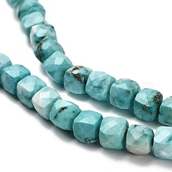 Dyed Natural Howlite Beads Strands&nbsp;G-H078-C28-01