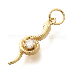 Rack Plating Brass Micro Pave Cubic Zirconia Charms&nbsp;KK-H508-29G