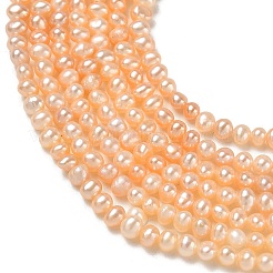 Natural Cultured Freshwater Pearl Beads Strands&nbsp;PA-CBAC463-41