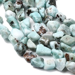 Natural Larimar Beads Strands&nbsp;G-P601-A20-02