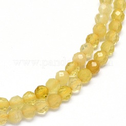 Natural Yellow Opal Beads Strands&nbsp;G-O180-05B
