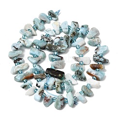 Natural Larimar Beads Strands&nbsp;G-L649-A07-01