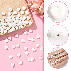 2 Strands Natural Trochid Shell/Trochus Shell Beads Strands&nbsp;SSHEL-SC0001-37