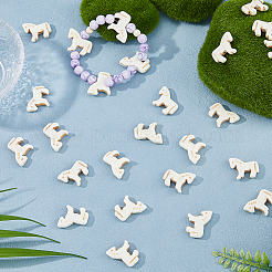 30Pcs Synthetic Turquoise Pendants&nbsp;G-HS0001-13A
