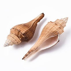 Natural Conch Shell Beads&nbsp;SSHEL-T015-03