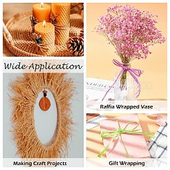 Raffia Ribbon&nbsp;SENE-PW0003-104D