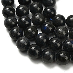 Natural Black Labradorite Beads Strands&nbsp;G-L642-B15-14mm