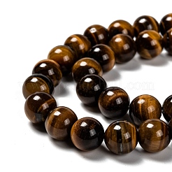 Natural Tiger Eye Round Bead Strands&nbsp;X-G-P072-33-10mm
