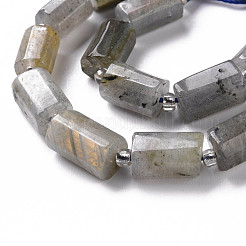 Natural Labradorite Beads Strands&nbsp;X-G-S345-8x11-001