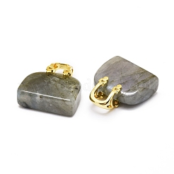 Natural Labradorite Brass Pendants&nbsp;KK-E274-01G-04