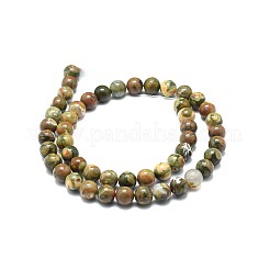 Natural Rhyolite Jasper Beads Strands&nbsp;G-F674-03AB-8mm