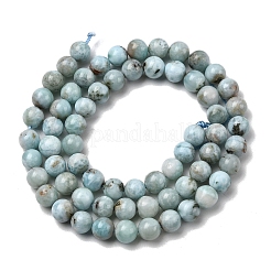 Natural Larimar Beads Strands&nbsp;G-B156-A01-6mm