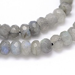 Natural Labradorite Rondelle Bead Strands&nbsp;G-O095-04-A