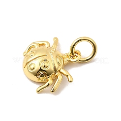 Brass Charms&nbsp;LS-KK-I364-05G-02