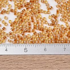 MIYUKI Delica Beads&nbsp;SEED-X0054-DB1702