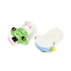Resin Cabochons&nbsp;RESI-H166-13
