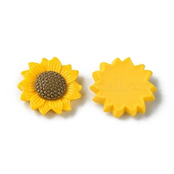 Opaque Resin Cabochons&nbsp;LS-RESI-H146-02A