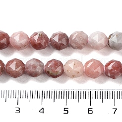 Natural Plum Blossom Jasper Beads Strands&nbsp;G-NH0021-A20-01