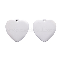 Tarnish Resistant 304 Stainless Steel Pendants&nbsp;STAS-I140-06S