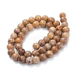 Natural Maifanite/Maifan Stone Beads Strands&nbsp;G-P451-01A-C