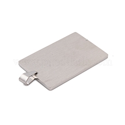 Non-Tarnish 304 Stainless Steel Pendants&nbsp;STAS-K283-06P